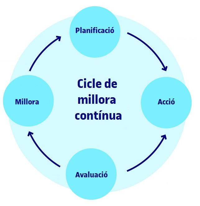 Cicle de millora contnua