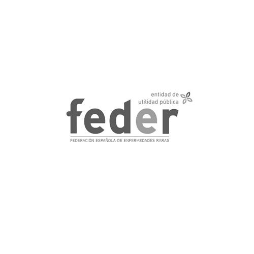 Premi FEDER